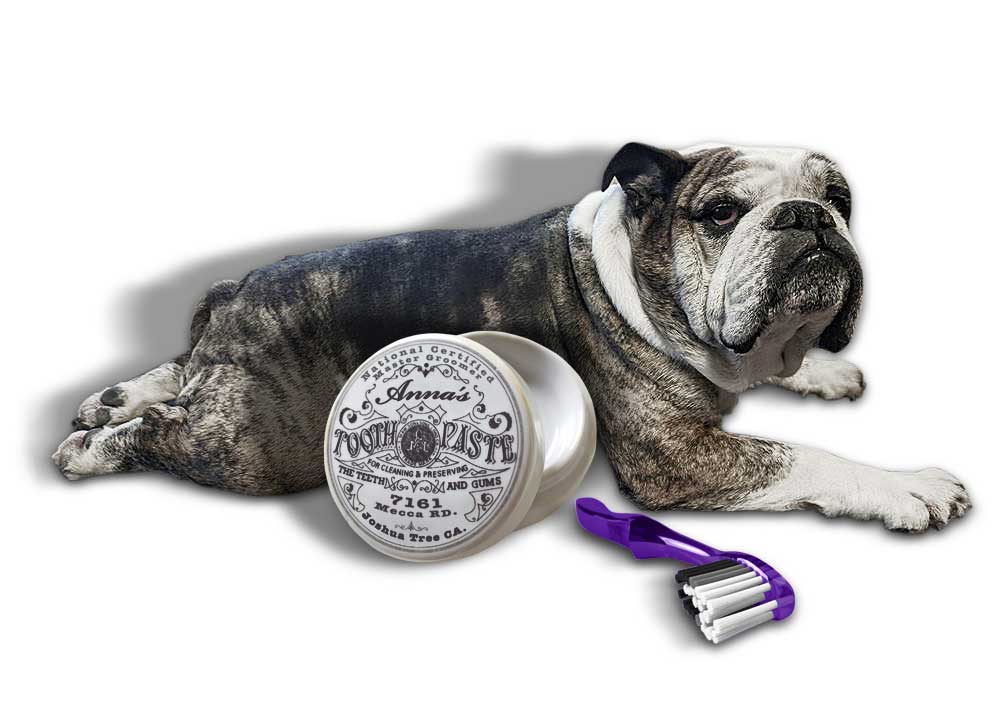 Brush for outlet english bulldog